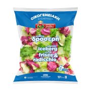 Σαλάτα Δροσερή ΜΠΑΡΜΠΑ ΣΤΑΘΗΣ Iceberg Frisee & Radicchio 400g