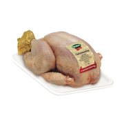 Γαλοπούλα Ιταλίας