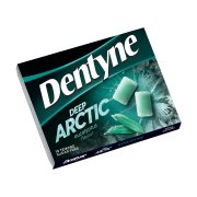DENTYNE Deep Arctic Τσίχλες Ευκάλυπτος Χωρίς ζάχαρη 12τεμ 16,8gr 