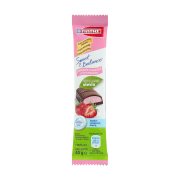 ΓΙΩΤΗΣ Sweet & Balance Σοκολάτα Γάλακτος & Γέμιση Φράουλας με Στέβια Χωρίς γλουτένη 40gr