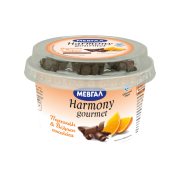 ΜΕΒΓΑΛ Harmony Gourmet Επιδόρπιο Γιαουρτιού Πορτοκάλι & Νιφάδες Σοκολάτας 165gr