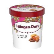 HAAGEN-DAZS Παγωτό Pralines & Cream 400g (460ml)