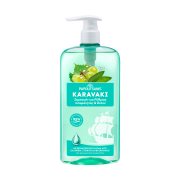 PAPOUTSANIS Karavaki Σαμπουάν Μαλλιών Ρύθμιση Λιπαρότητας & Detox 600ml