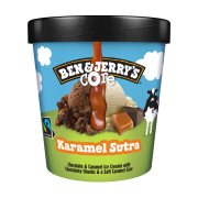 BEN & JERRY'S Core Παγωτό Caramel Sutra 442g (465ml)