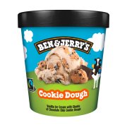 BEN & JERRY'S Παγωτό Cookie Dough 406g (465ml)