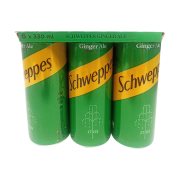 SCHWEPPES Αναψυκτικό Ginger Ale 6x330ml
