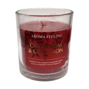 Αρωματικό Κερί Βαζάκι 9εκ Cardamom & Cinnamon