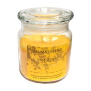 Αρωματικό Κερί Βαζάκι 11εκ Pineapple Mango