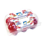 Βαμμένα Αυγά Αχυρώνα ΧΡΥΣΑ ΑΥΓΑ Τα Πασχαλινά Κόκκινα 6τεμ