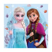 DECORATA Χαρτοπετσέτες Frozen Wonder 2φύλλων 33x33 20τεμ 65g
