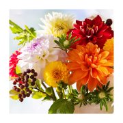 PAPER DESIGN Χαρτοπετσέτες Dahlia Dreams 3φύλλων 33x33 20τεμ 