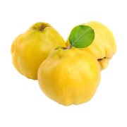 Κυδώνια Εισαγωγής