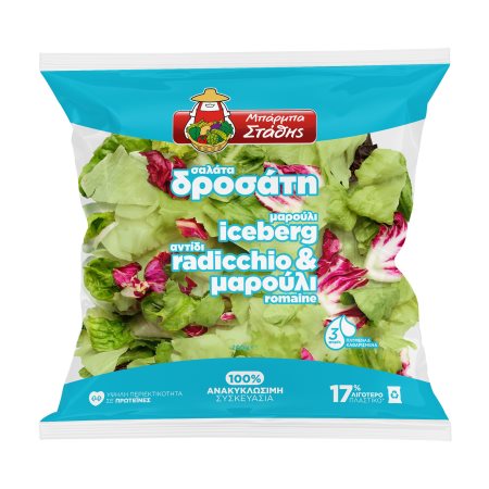 Σαλάτα Δροσάτη ΜΠΑΡΜΠΑ ΣΤΑΘΗΣ Iceberg Radicchio & Μαρούλι 200g