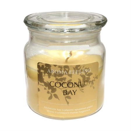 Αρωματικό Κερί Βαζάκι 11εκ Coconut Bay