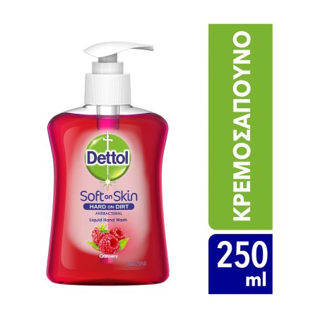 DETTOL Κρεμοσάπουνο Antibacterial Cranberry 250ml