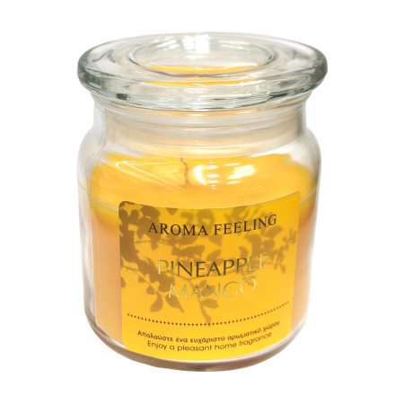 Αρωματικό Κερί Βαζάκι 11εκ Pineapple Mango