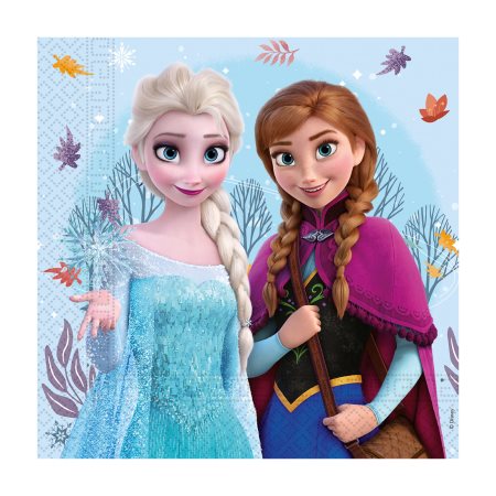 DECORATA Χαρτοπετσέτες Frozen Wonder 2φύλλων 33x33 20τεμ 65g